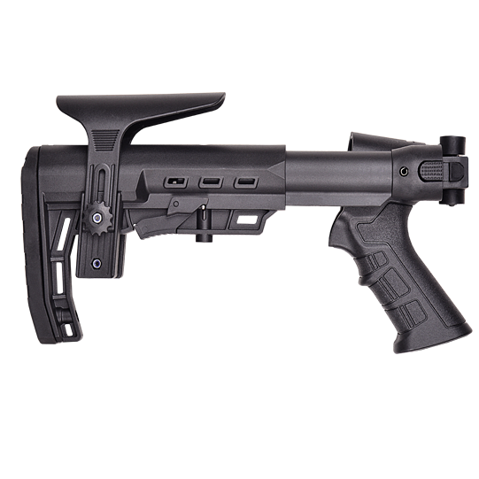 TR RZ17 Stock witch Cheek Rest